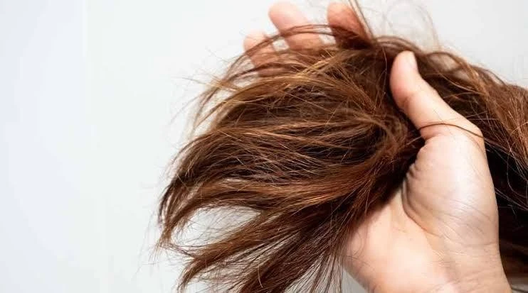 What Is the Best Shampoo for Your Hair Type? A Complete Guide