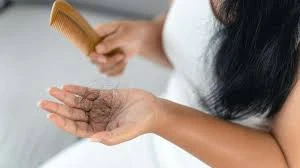 Best Shampoo for Hair Fall – Top Picks from Riwaj Mart